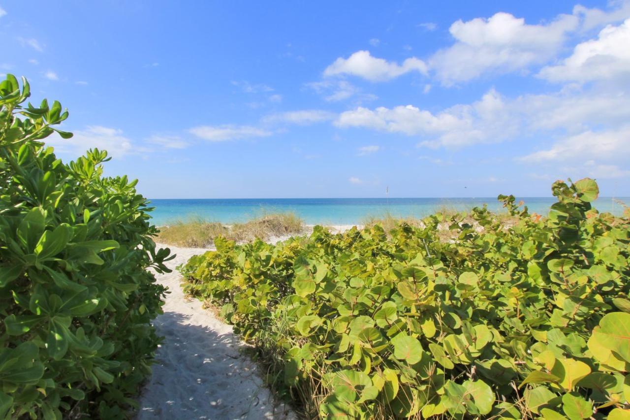 Belleair Beach Club 315 克利尔沃特 外观 照片